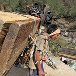 Alumine: image 1 0f 110 thumb