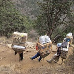 Alumine: image 1 0f 110 thumb