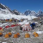 Alumine: image 1 0f 110 thumb