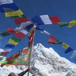 Alumine: image 1 0f 110 thumb