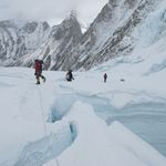 Alumine: image 1 0f 110 thumb