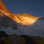 Alumine: image 1 0f 110 thumb