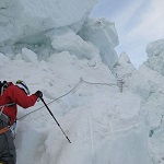 Alumine: image 1 0f 110 thumb