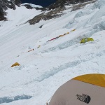 Alumine: image 1 0f 110 thumb