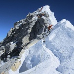 Alumine: image 1 0f 110 thumb